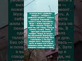Когда я перестала помогать всем — у меня началась своя жизнь #историяизжизни #история