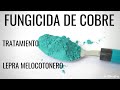 FUNGICIDA DE COBRE contra hongos: LEPRA DEL MELOCOTONERO o durazno || en20metros