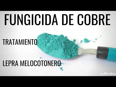 Video: Identificación de daños y características del barrenador esmeralda del fresno