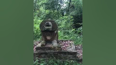 Nhà cổ hơn 200 năm ngoài đảo ở Hồ Núi cốc Thái Nguyên.