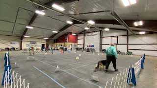 Bliss AKC Virtual Rally Excellent Course #1