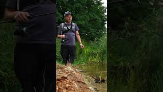 Favorite U1 rods - a brief description of the universal spinning rod series