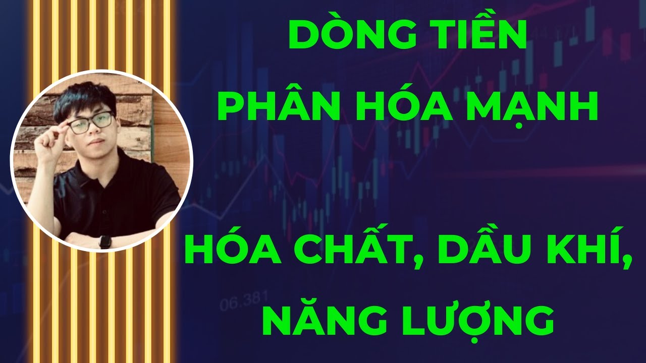 NHẬN ĐỊNH THỊ TRƯỜNG 19/6/2024: DÒNG TIỀN PHÂN HÓA MẠNH. HÓA CHẤT, DẦU KHÍ, NĂNG LƯỢNG