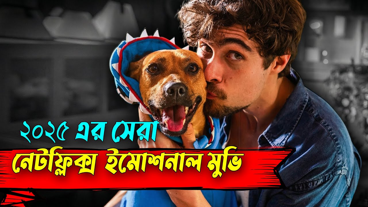 হৃদয়বিদারক মুভি | কুকুরটি অদ্ভুদভাবে তার ভাগ্য বদলে দেয় | Movie Explain | AFNAN COTTAGE