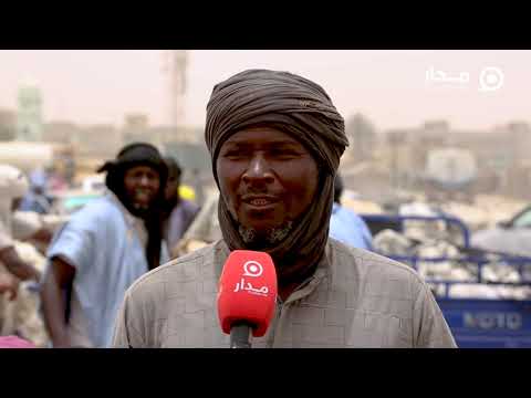 مدار تستطلع آراء رواد سوق المواشي في نواكشوط