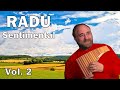 Radu Constantin Pan Flute Aranjuez Mon Amour Radu Constantin Pan Flute Aranjuez Mon Amour