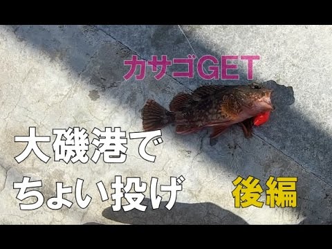 大磯港でちょい投げ釣り ブラクリ カサゴ釣り 後編 Mancing Mania Japan Youtube 大磯港でちょい投げ釣り ブラクリ カサゴ釣り 後編 Mancing Mania Japan Youtube