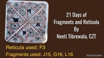 Fragments and Reticula Day2