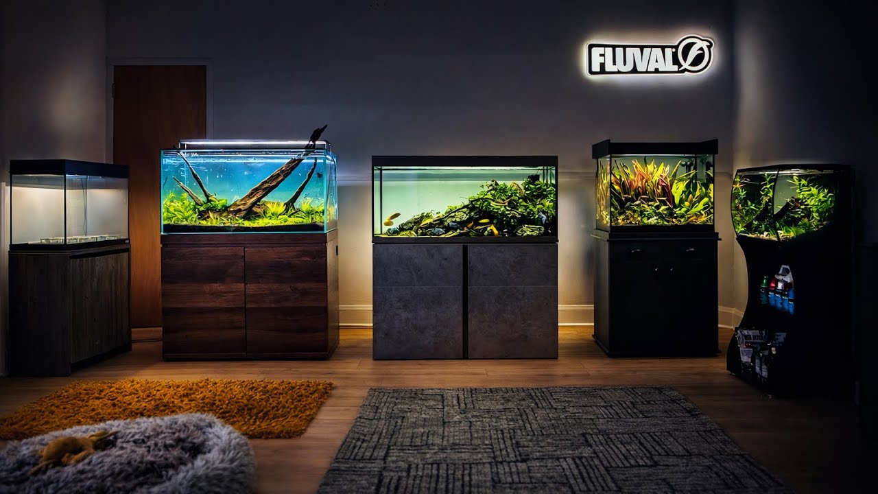 My new aquascaping studio is finally ready (4K)