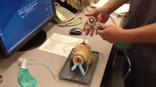 Flow Inflating Bag