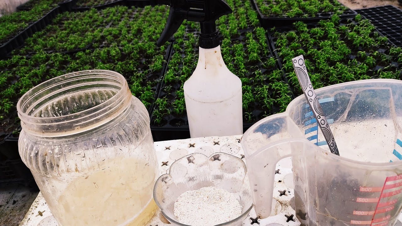 Yumurta Kabuğundan Sıvı Kalsiyum Gübresi