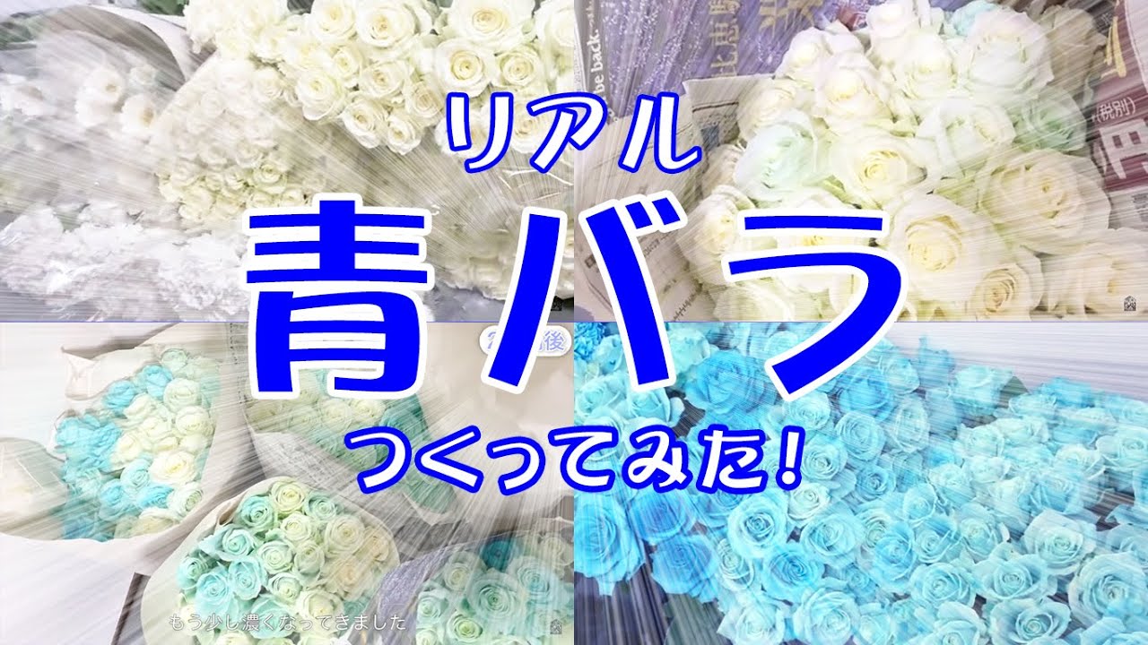 青バラの作り方 リアルなお花を着色して作ってみた はなしごと Youtube