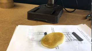 Gorilla Glue Time Lapse