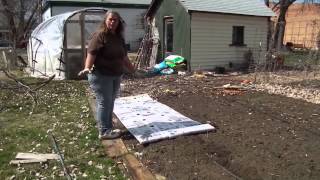 Lazy Gardening: No-Dig Potatoes