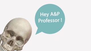 Using Visible Body Apps | Anatomy Resource for Professors screenshot 1