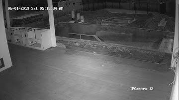 Luma 16CH NVR canalcams wirepathdns com IPCamera 07 20190601050506 20190601051506 1559403692823