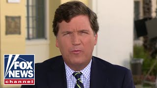 Tucker taste tests chocolate covered crickets