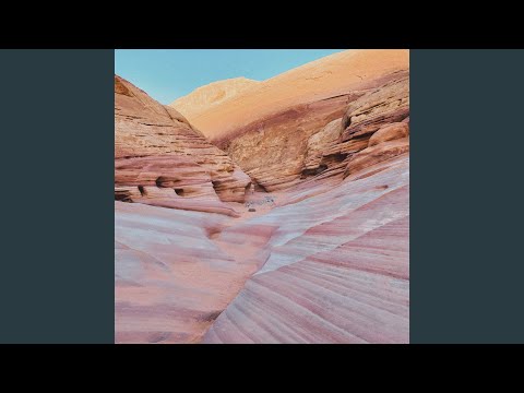Lara Somogyi & Cyrus Reynolds - acceptances (orchestral expansion)