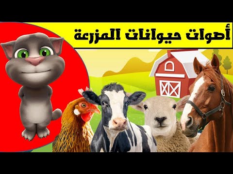 حيوانات المزرعة مع القط توم أسماء و أصوات