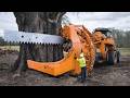 Dangerous Logging Roads & Extreme Forestry Machines | Timber Nexus