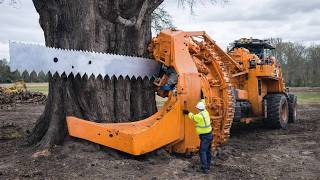 Dangerous Logging Roads & Extreme Forestry Machines | Timber Nexus