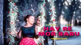 Hay Mor Babu Hay Mor Sona | Lo-fi Mix