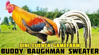 BUDDY BAUGHMAN SWEATER - DINI CUENCA GAMEFARM