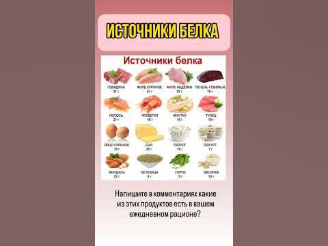 Источники БЕЛКА #ЗДОРОВЬЕ #здоровымбытьвыгодно #иммунитет - YouTube