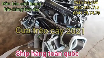 tree climbing spikes 💥Cựa trèo cây 2020 chuyên cưa cây hái lan bắt ong ☎️0947207718 0941797478 ✅Toản
