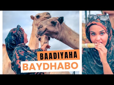 HALMALIN AYAN BERALEY IYO XOLALAY NOQDAY