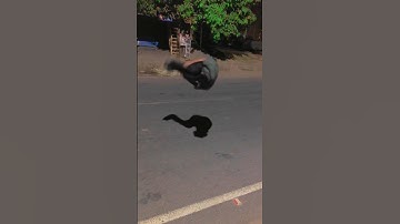 Only side flip 🤷✨…. #shorts #stunt #sideflip #viralshort #viralvideo #subscribe #youtube