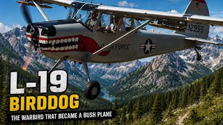 Cessna L-19 Bird Dog | Vietnam War Hero &amp; Bush Plane Legend