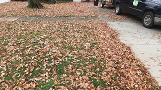 First fall clean up of 2022. It’s underway.