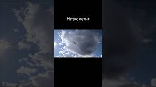 Баба-Яга (подпишись пожалуйста)