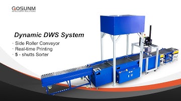 Dynamic DWS 5 ports sorting line with real-time printing