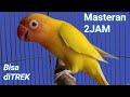 masteran lovebird 2 JAM,,, memancing labet lawan ngekek panjang terbukti JITU