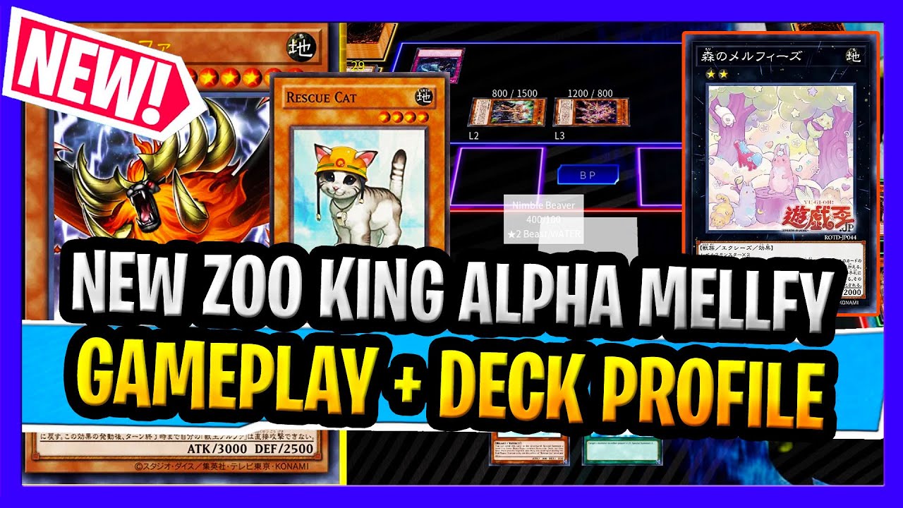 yugioh zoo deck Complete Custom for Yu-Gi-Oh! ZEXAL Yugioh Traditional Format Zoodiac Deck