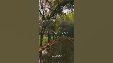 #القارئ_شريف_مصطفى #سورة_النور #قران_كريم #راحة_نفسية #العراق_السعودية_قطر_الامارات_الكويت_البحرين_ا