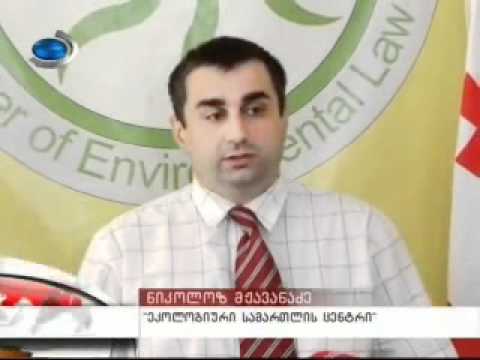 რას უშვებიან რეინჯერებს