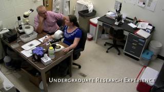 It's Very Simple: Faculty chair endowments improve student experience