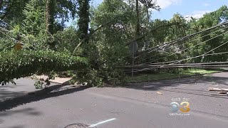 Doylestown Neighborhood Without Power Following Saturday Morning Storms