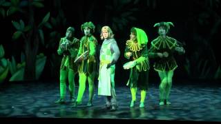 Spamalot Stockholm -- Modige sir Robin
