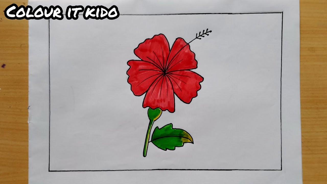 How To Draw A Hibiscus Flower Easy StepBy Step How To Make A Flower