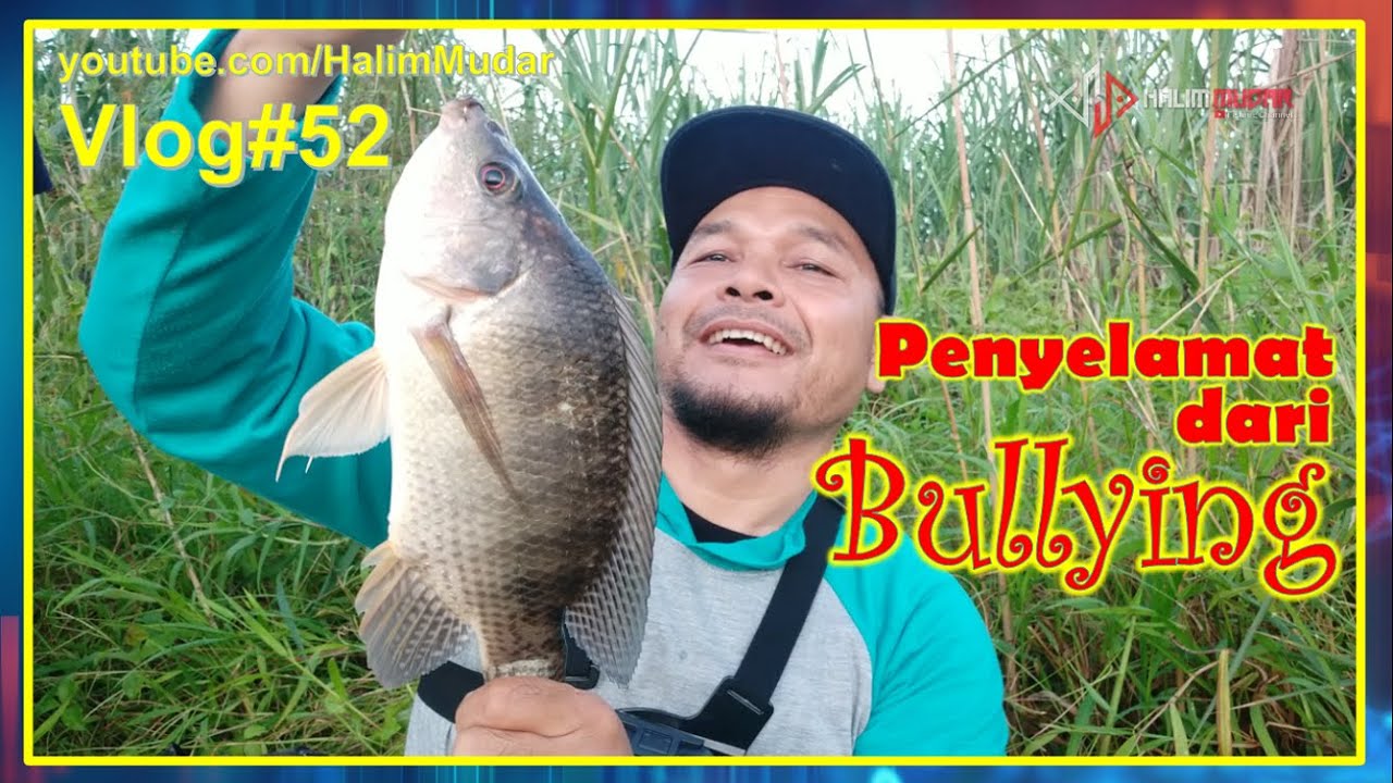 NIla 5 Jari Penyelamat dari Bullying Mancing Ikan Nila Liar Wild