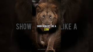 Lion Whatsapp Status Billionaire Atude Status Inspirational