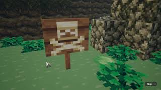 I Got Minecraft Dungeons