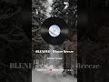 BLENDED | Winter Breeze ❄️ Relaxing Nature & Christmas Music