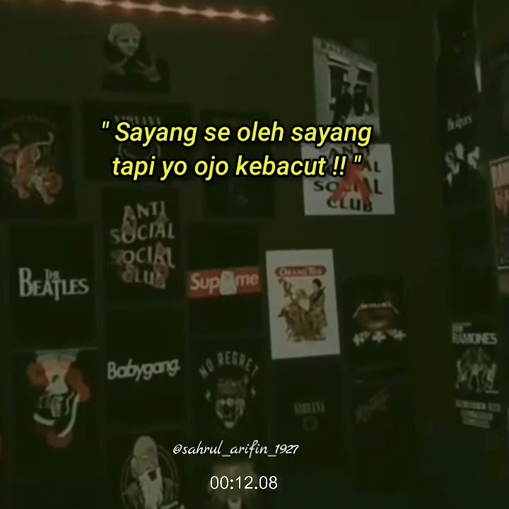 i am sorry ( cover story wa)