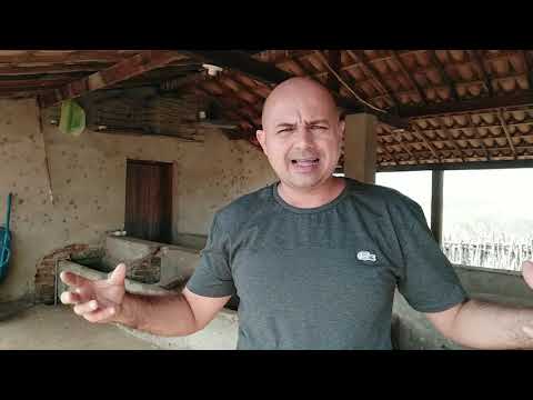 Vídeo: Qual é a diferença entre um estábulo e uma manjedoura?