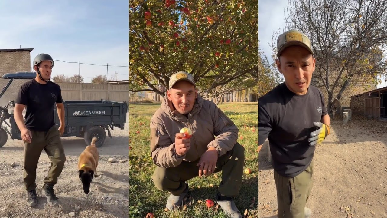 ЭЛДИН БАЛАСЫ👍